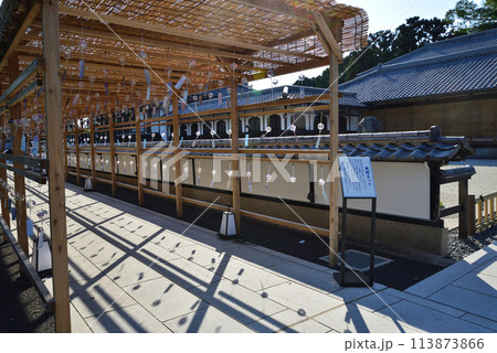 長松院　2023-7-30　＃7 113873866