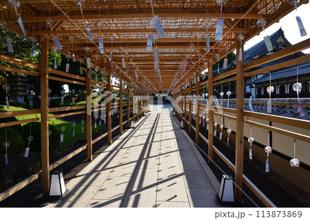 長松院　2023-7-30　＃10 113873869