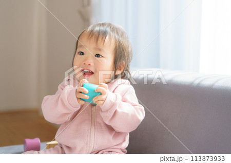 おもちゃを持つ赤ちゃん 113873933
