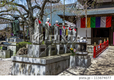 水戸大師六地蔵寺の朝【春さくら散る時期】 水戸大師六地蔵寺の朝【春さくら散る時期】 113874077