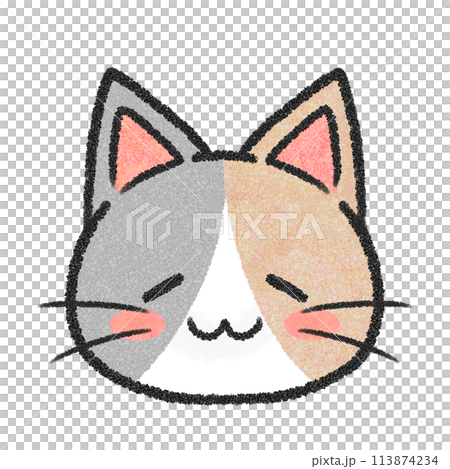 貓的睡臉（三色貓） 113874234