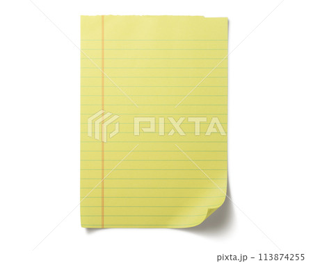 ちぎられた黄色いノートパッドの紙片のテクスチャー 113874255