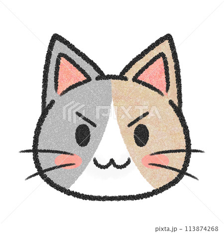 ねこのきりっと顔（三毛猫） 113874268