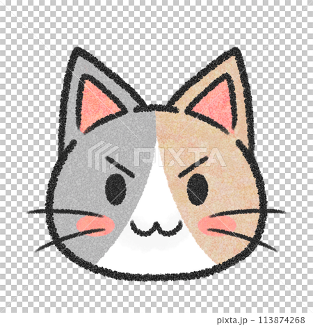 ねこのきりっと顔（三毛猫） 113874268