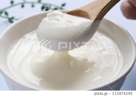 大豆ヨーグルト 豆乳ヨーグルト スプーンで持ち上げる 大豆ヨーグルト 豆乳ヨーグルト スプーンで持ち上げる 113874295