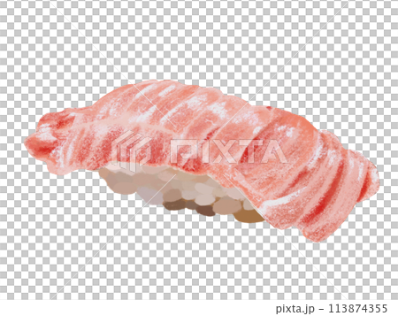 握り寿司（中トロ一貫）白背景 113874355