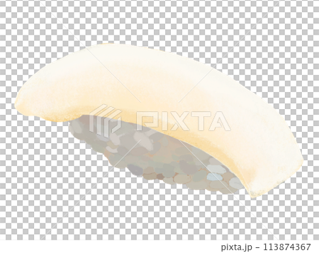 Nigiri sushi (squid) on white background 113874367