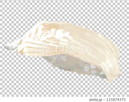 握壽司（由比目魚組成）白色背景 113874375