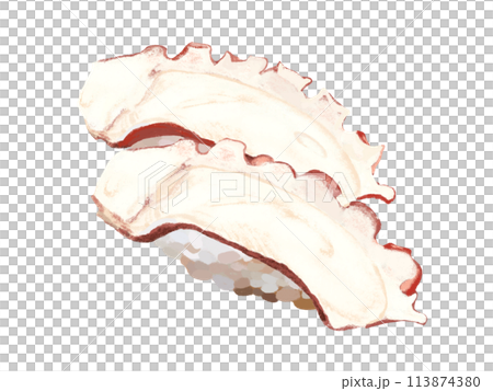 Nigiri sushi (two pieces of octopus) 113874380