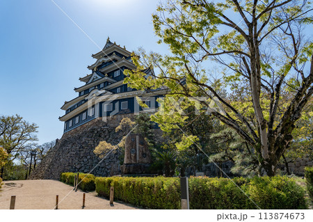 岡山県 お堀側から見た岡山城 岡山県 お堀側から見た岡山城 113874673