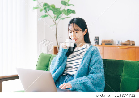 ソファでパソコンを使う女性 113874712