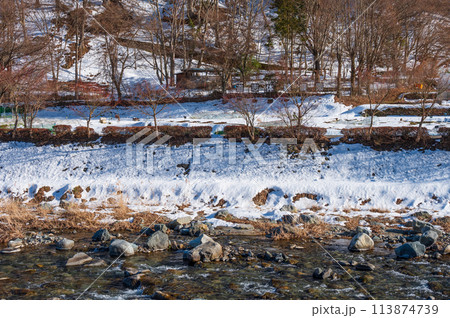 残雪の道志川 冬の道志 残雪の道志川 冬の道志 113874739