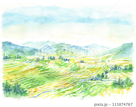 水彩で描いた棚田と山並みの風景イラスト 水彩で描いた棚田と山並みの風景イラスト 113874767
