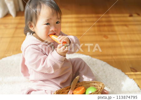 おもちゃで遊ぶ赤ちゃん 113874795