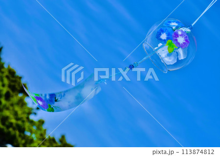 夏の海の風に吹かれて心地よい音色を出すアサガオ柄のガラス風鈴3 夏の海の風に吹かれて心地よい音色を出すアサガオ柄のガラス風鈴3 113874812