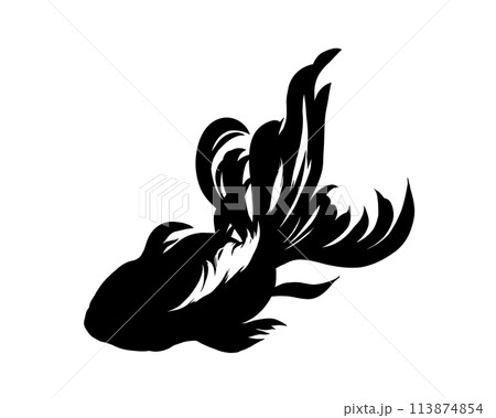 筆で描いたような金魚のシルエットイラスト(黒色) 筆で描いたような金魚のシルエットイラスト(黒色) 113874854