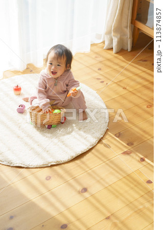 おもちゃで遊ぶ赤ちゃん 113874857