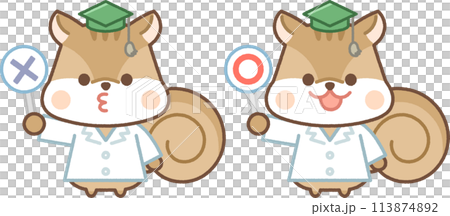 Squirrel character in white coat holding a circle and a cross 113874892