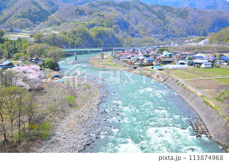 利根川　サクラ咲く季節と新緑の風景　棚下不動付近の眺め　　　　 113874968