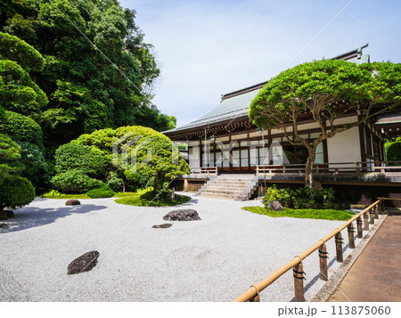 6月の鎌倉　報国寺　庭園 113875060