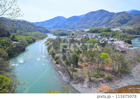 利根川 サクラ咲く季節と新緑の風景 棚下不動付近の眺め 利根川 サクラ咲く季節と新緑の風景 棚下不動付近の眺め 113875078