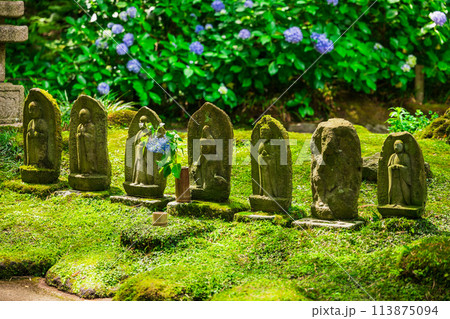 6月の鎌倉　報国寺　石仏 113875094