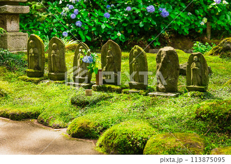 6月の鎌倉　報国寺　石仏 113875095