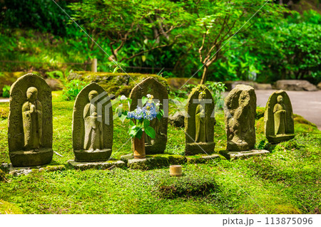 6月の鎌倉 報国寺 石仏 6月の鎌倉 報国寺 石仏 113875096