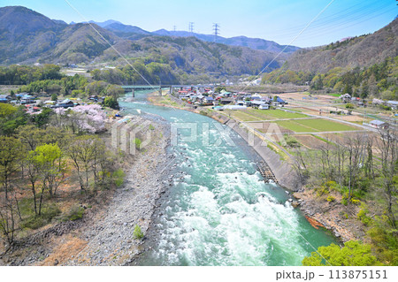 利根川 サクラ咲く季節と新緑の風景 棚下不動付近の眺め 利根川 サクラ咲く季節と新緑の風景 棚下不動付近の眺め 113875151