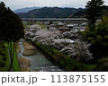 桜咲く春の関ヶ原を走る東海道新幹線N700A （東海道新幹線 米原 - 岐阜羽島, 2024年4月） 113875155
