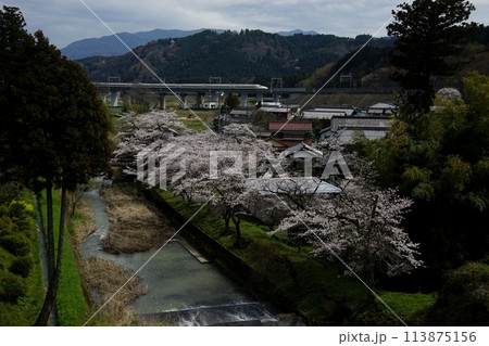 桜咲く春の関ヶ原を走る東海道新幹線N700A (東海道新幹線 米原 - 岐阜羽島, 2024年4月) 桜咲く春の関ヶ原を走る東海道新幹線N700A (東海道新幹線 米原 - 岐阜羽島, 2024年4月) 113875156