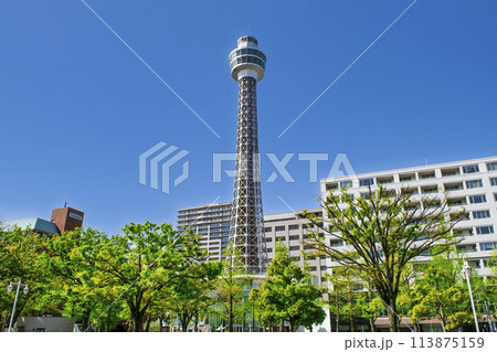 横浜市　山下町　横浜マリンタワー 113875159