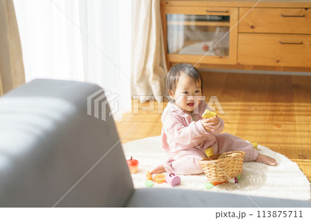 おままごとで遊ぶ赤ちゃん おままごとで遊ぶ赤ちゃん 113875711