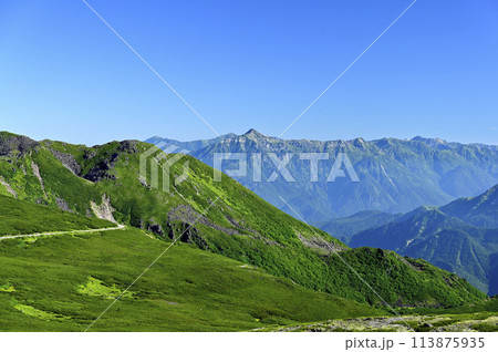 朝の乗鞍大黒岳からの風景(撮影地:乗鞍、大黒岳) 朝の乗鞍大黒岳からの風景(撮影地:乗鞍、大黒岳) 113875935