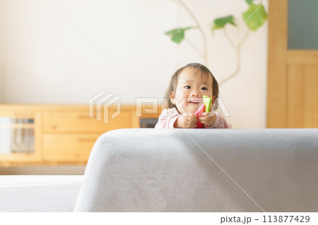 ソファで遊ぶ赤ちゃん 113877429