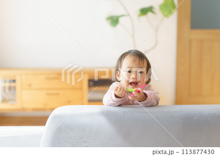 ソファで遊ぶ赤ちゃん 113877430