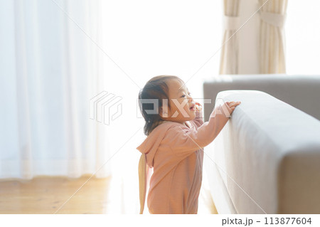 ソファで遊ぶ赤ちゃん 113877604