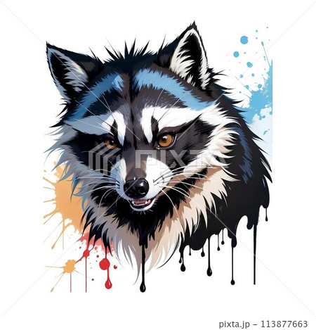 アライグマのイラスト 113877663