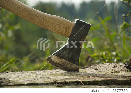 Axe stuck in tree stump in background of felled forest Axe stuck in tree stump in background of felled forest 113877723