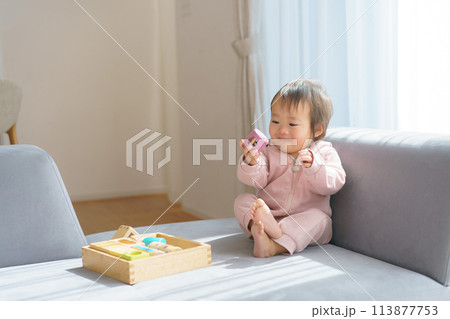 積み木で遊ぶ赤ちゃん 積み木で遊ぶ赤ちゃん 113877753