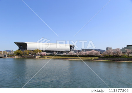 エディオンピースウイング広島 113877803