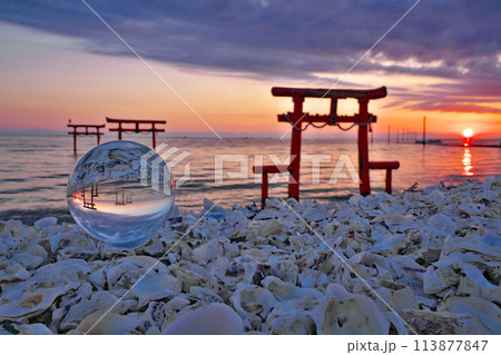 【大魚神社の海中鳥居 (水晶玉)(明け方)】 佐賀県藤津郡太良町多良 【大魚神社の海中鳥居 (水晶玉)(明け方)】 佐賀県藤津郡太良町多良 113877847