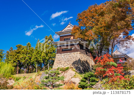 《長野県》上田城址公園 南櫓 秋の紅葉 《長野県》上田城址公園 南櫓 秋の紅葉 113878175