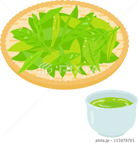 笊に乗せたチャノキの葉と緑茶 113878701