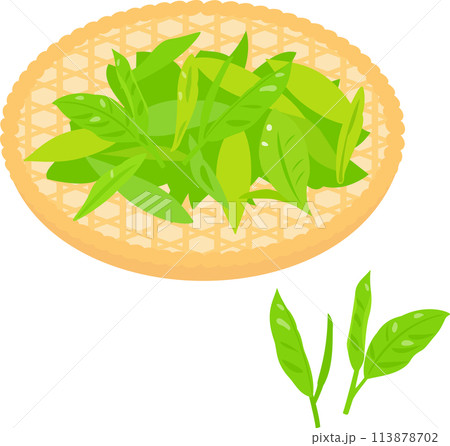 笊に乗せた生茶葉 113878702