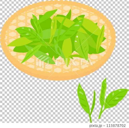 笊に乗せた生茶葉 113878702