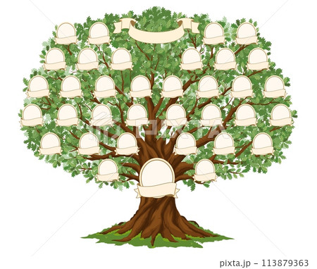Genealogy family tree for ancestry history with photo frames on branches, vector template. Family tree with parents relationship connection and blank picture frames with name ribbons for genealogy 113879363