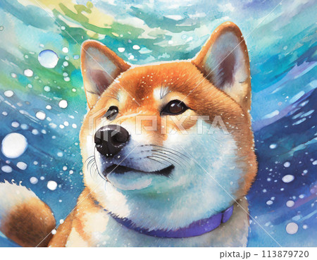 水彩画イラスト 113879720