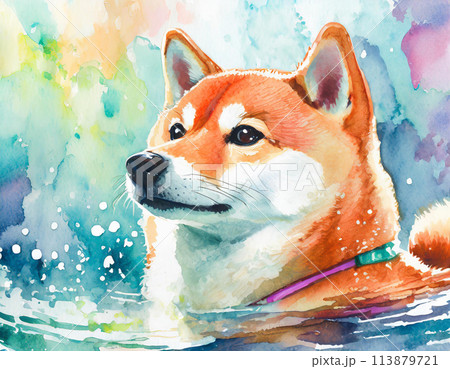 柴犬の水彩画イラスト 113879721