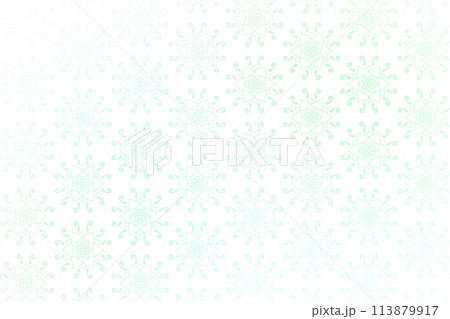 花柄の背景　素材 113879917